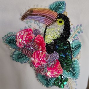 Tucán y monsteras tropicales Kit y Classroom